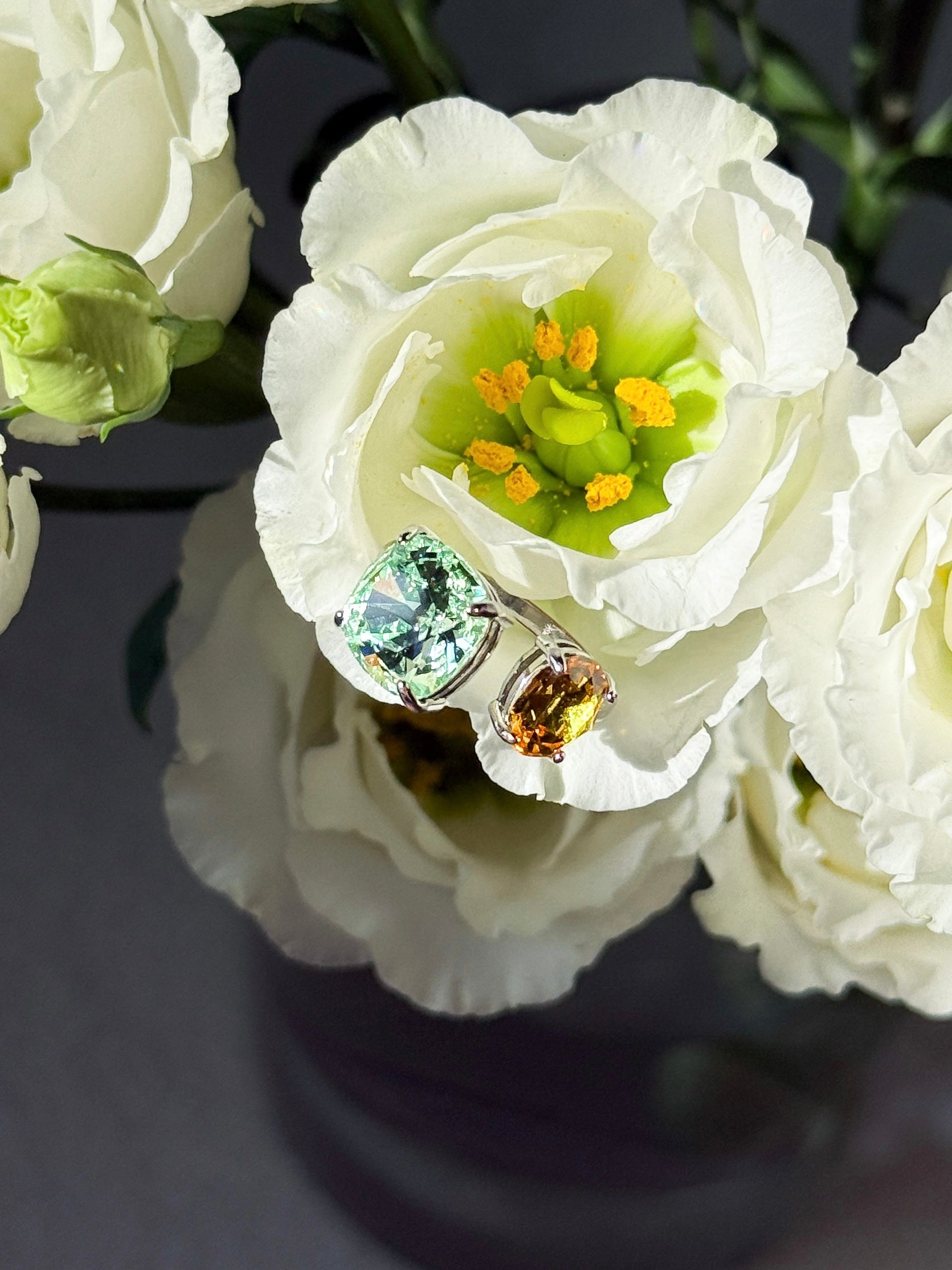 Fio Ring – Custom Color