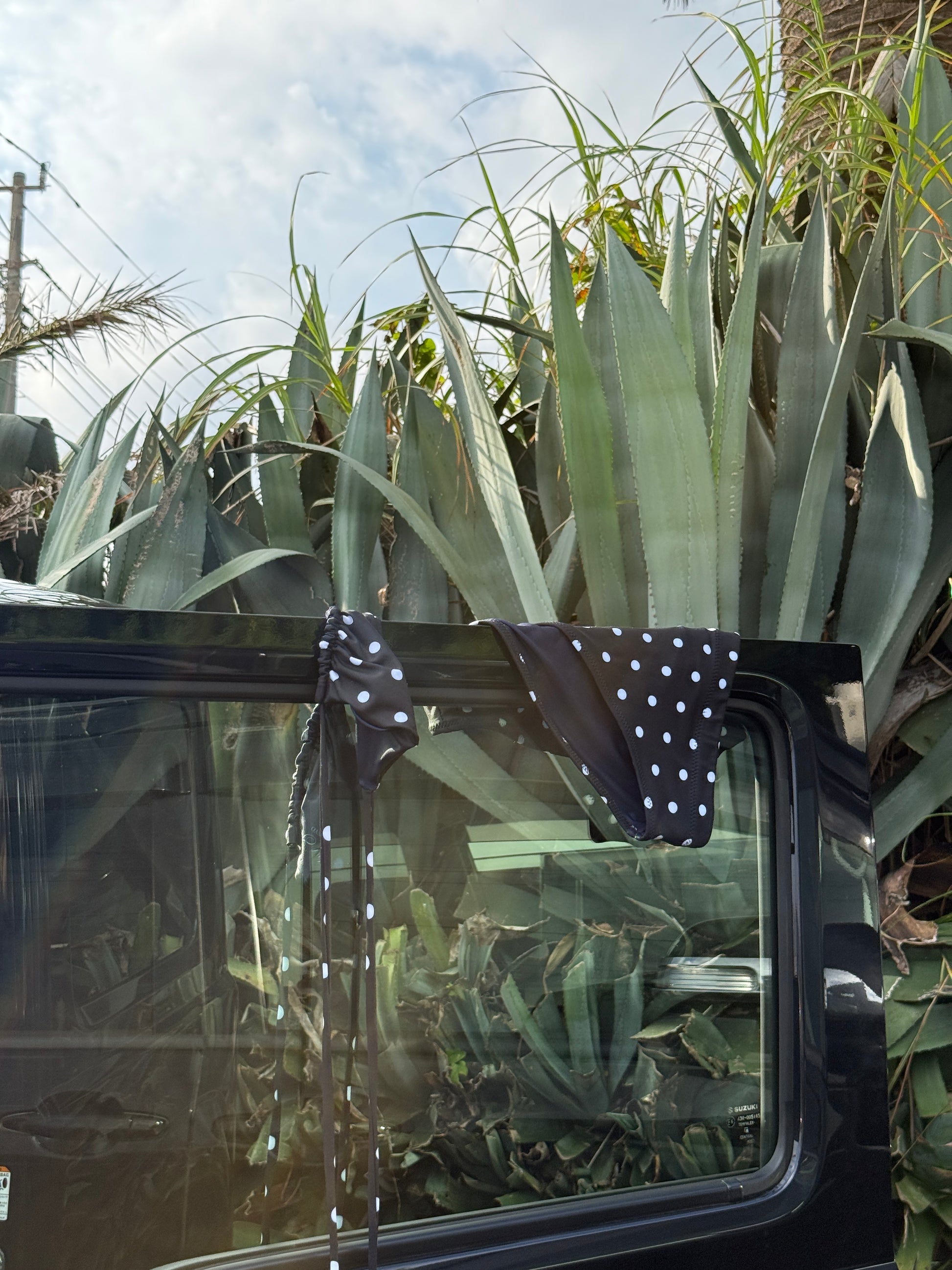 Paloma – High Waisted Bottom